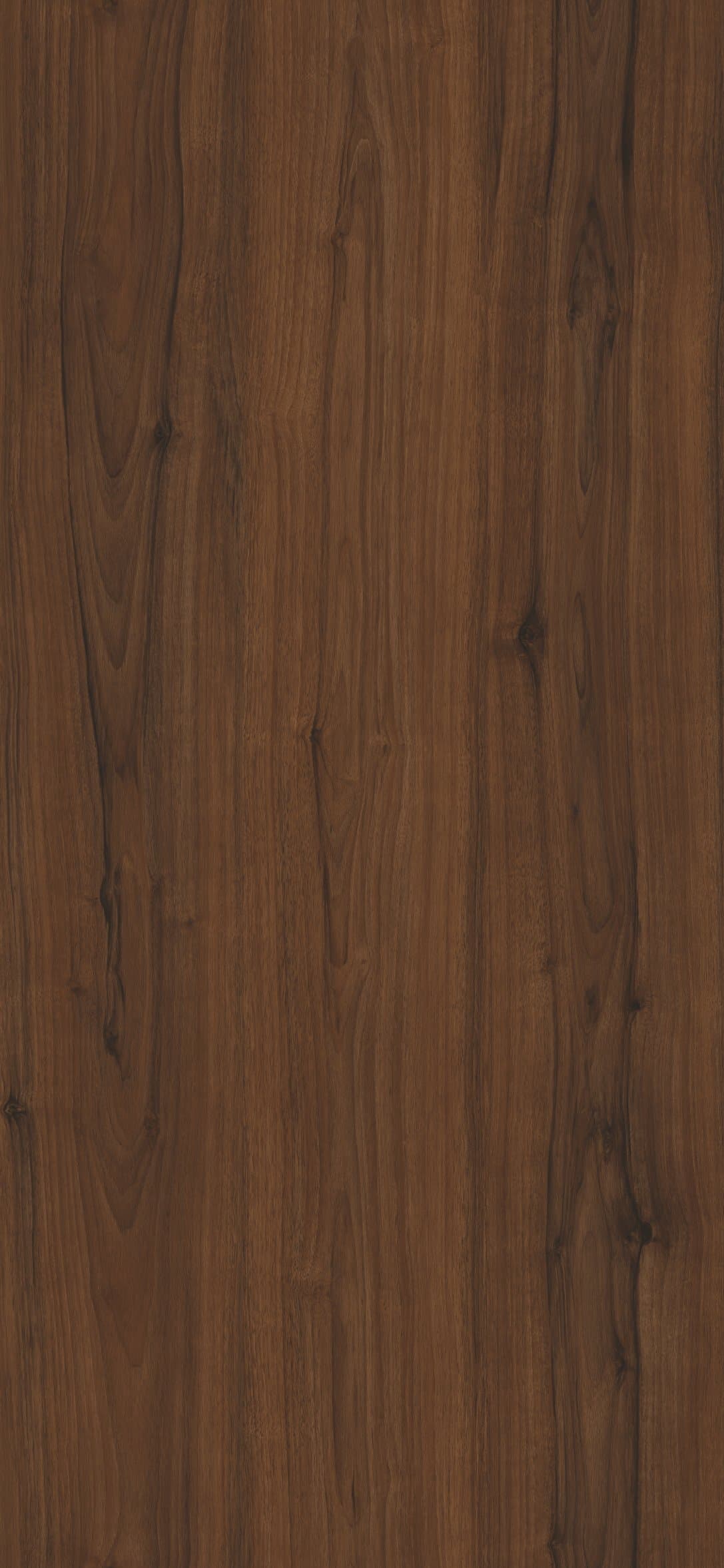 Koa